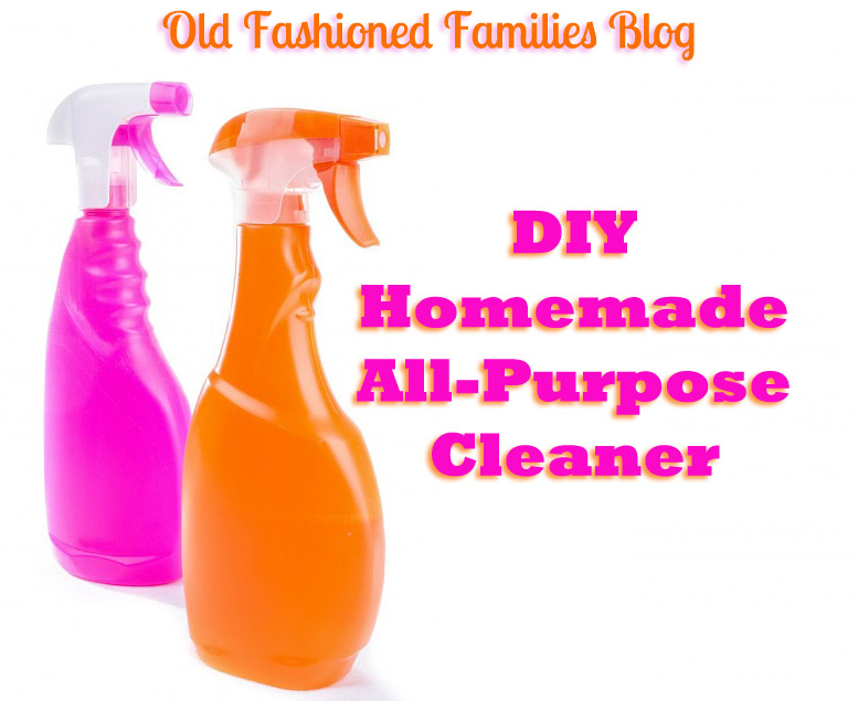 How to Make DIY All-Purpose Cleaner 3 Ways