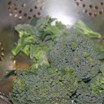 GMO or Not to GMO What You Need to Know AND a Free Gift!