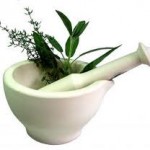 5 Medicinal Herbs You Might Not Even Know You have In Your Yard