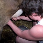 Is Hand Milking Taking Too Long? This Non-electric, Hand Operated Milker Makes it Fast and Easy