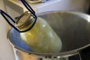 Part 3 Basic Canning Series – Step by Step Guide to Using a Pressure Canner For the First time Canning Potatoes