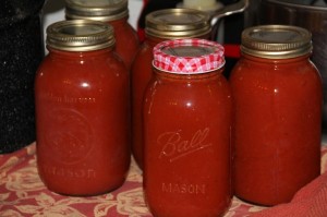 Step By Step Making Tomato Sauce The Easy Way