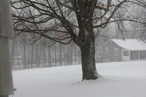 Looking Forward to 2013 – Homesteading Goals and Plans