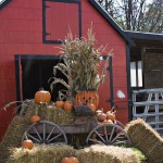Plan an Old Fashioned Halloween Party