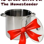 10 Great Christmas Gift Ideas for the New Homesteader
