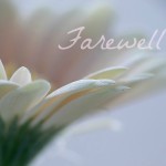 Saying Goodbye to More Than Just a Blog