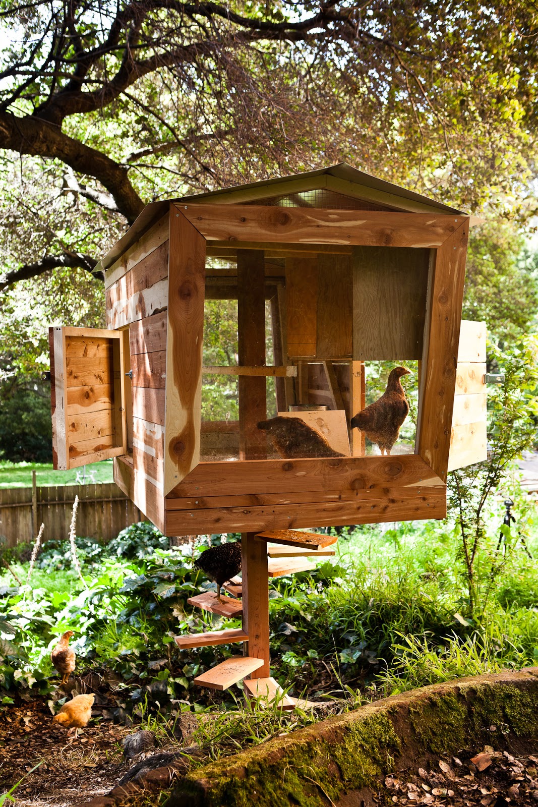 15 Coolest Chicken Coops Old Fashioned Families