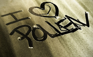 pollen