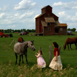 10 Homesteading Misconceptions