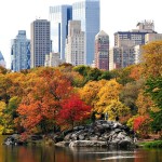 Living an Old Fashioned Life in a Modern World