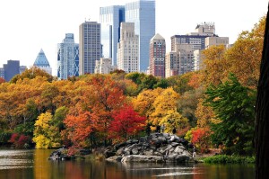 NYC central park