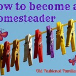How to Become a Homesteader