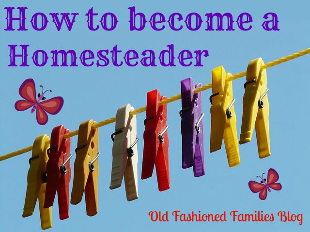 becoming homesteaderOFF