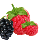 Tips for Freezing Berries