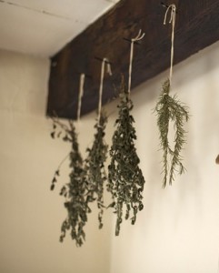 Tips for Drying and Preserving Herbs