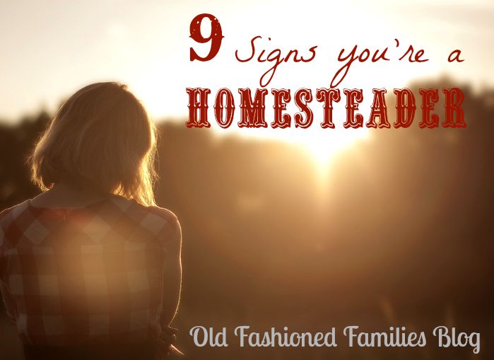 signs homesteading