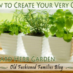 Create Your Very Own No-Yard Herb Garden
