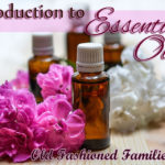 An Introduction to Essential Oils