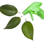 DIY Essential Oil Calming Mist