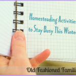 Homesteading Activities To Stay Busy This Winter