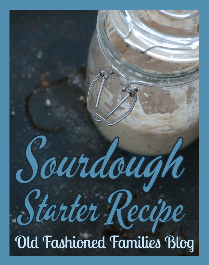 sourdough-starter