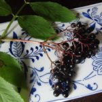 Use Elderberries to Combat the Flu