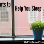 10 Plants to Help You Sleep
