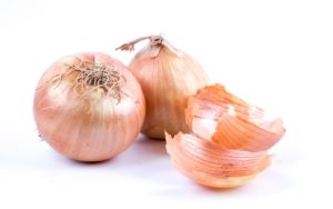 vidalia-onion