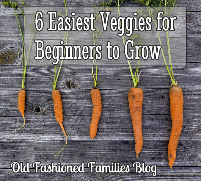 easy-veggies-to-grow