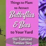Things to Plant to Attract Butterflies and Bees to Your Yard