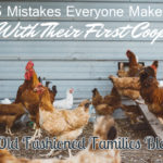 5 Mistakes Everyone Makes With Their First Coop