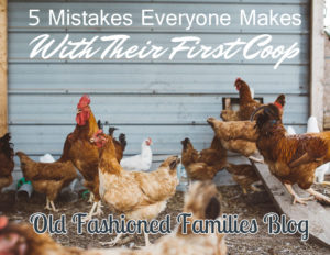 5 Mistakes Everyone Makes With Their First Coop